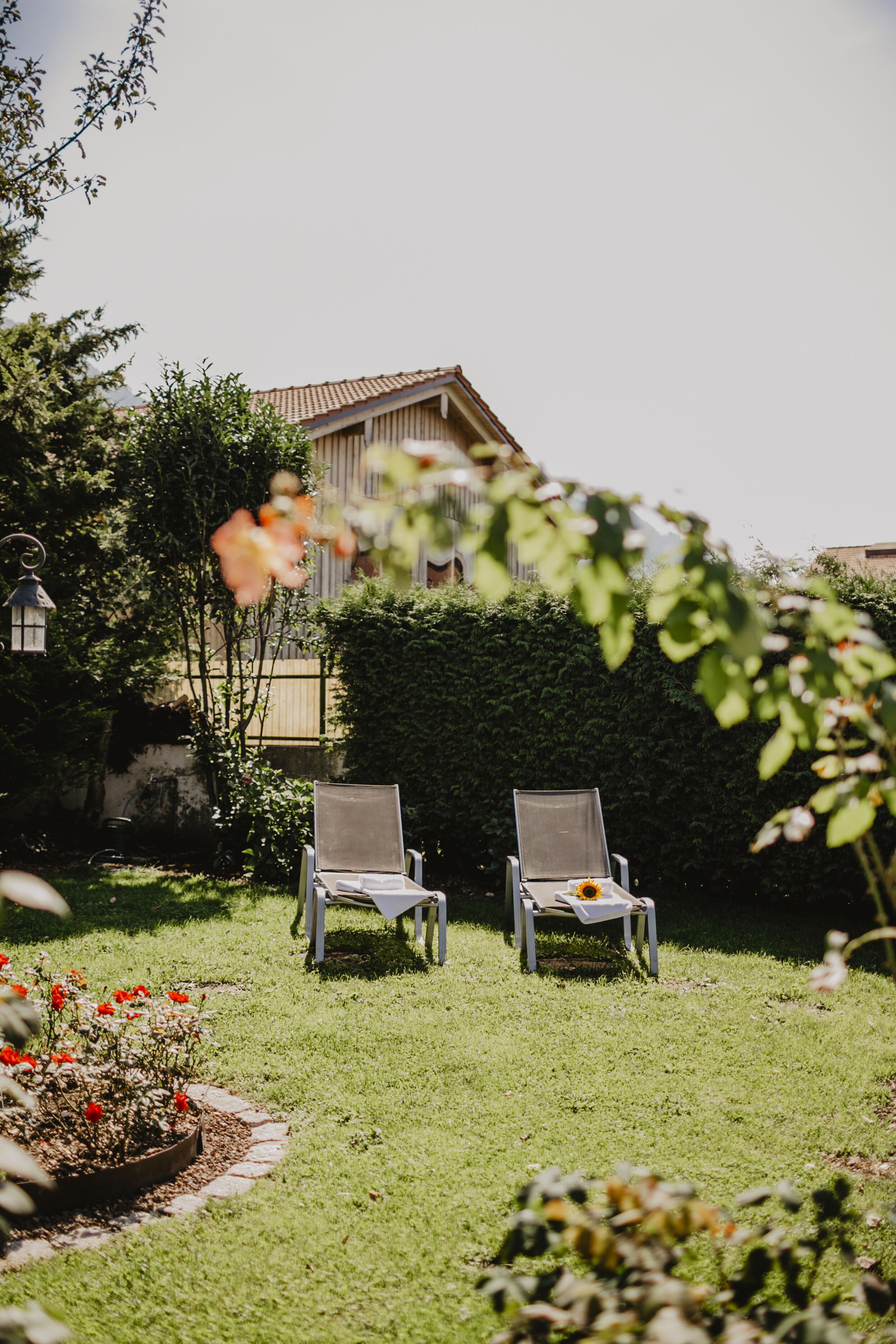 Un jardín con dos sillones de descanso, una cerca de madera y una casa al fondo.