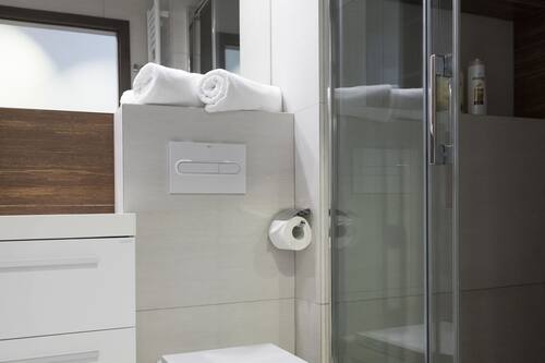 Appartement Exécutif, 2 chambres, coin cuisine | Douche de la salle de bain