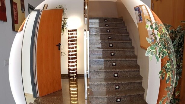A spiral staircase with a wooden door and a plant on the right. - Hostal Mary (Lloret de Mar)