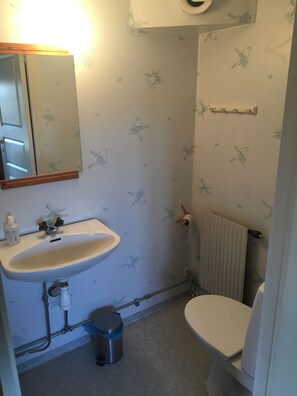 Shower, hair dryer