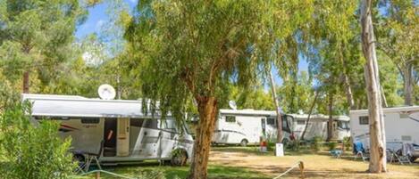 A campsite with RVs parked among trees.