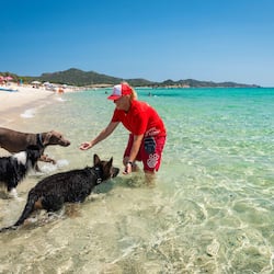 En la playa, playa de arena blanca, camastros y sombrillas