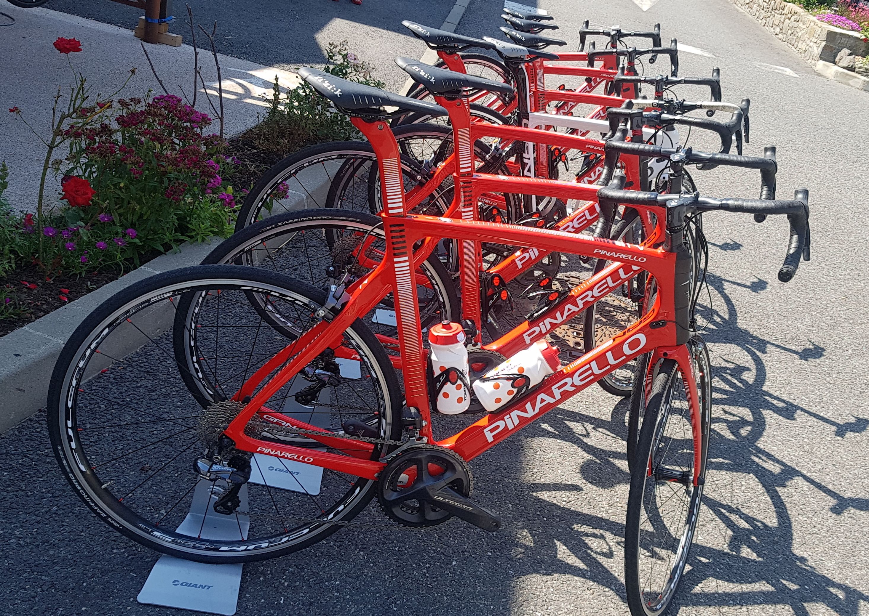 Una hilera de bicicletas rojas Pinarello estacionadas en una calle.