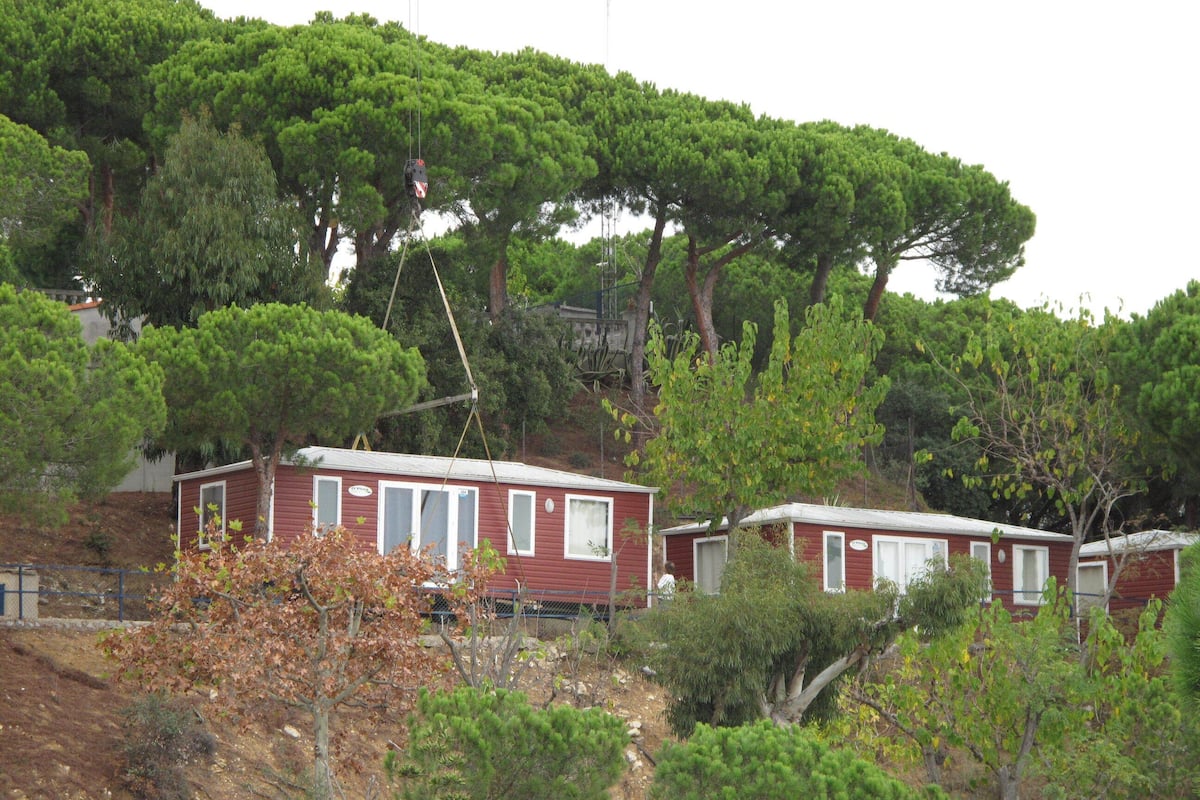 A row of red cabins with white trim, surrounded by dense green trees.