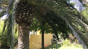A palm tree in a garden with a yellow wall and a red rope in the background. - Résidence les Caraibes (Sérignan)