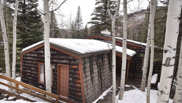 A wooden cabin with a brown door and a number '385' sign, surrounded by snow-covered ground and birch trees. - 385 Forest Rd. 4 Bedroom Home by RedAwning (Vail)