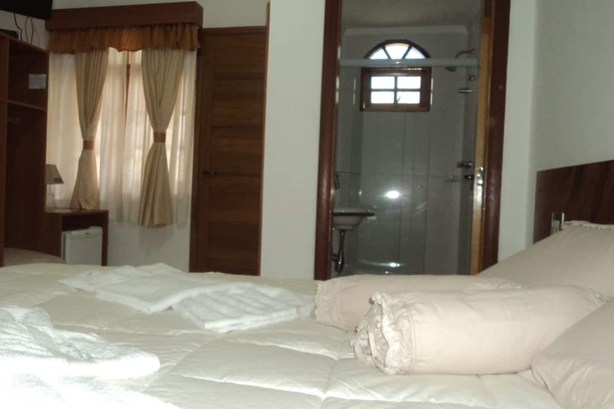 Un dormitorio con cama, armario, baño con ducha y ventana.