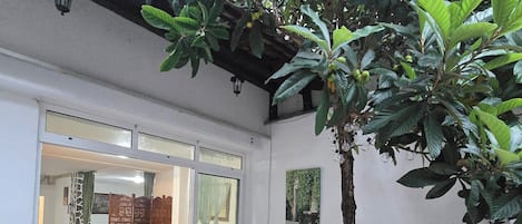 Estudio, Terraza | Terraza o patio