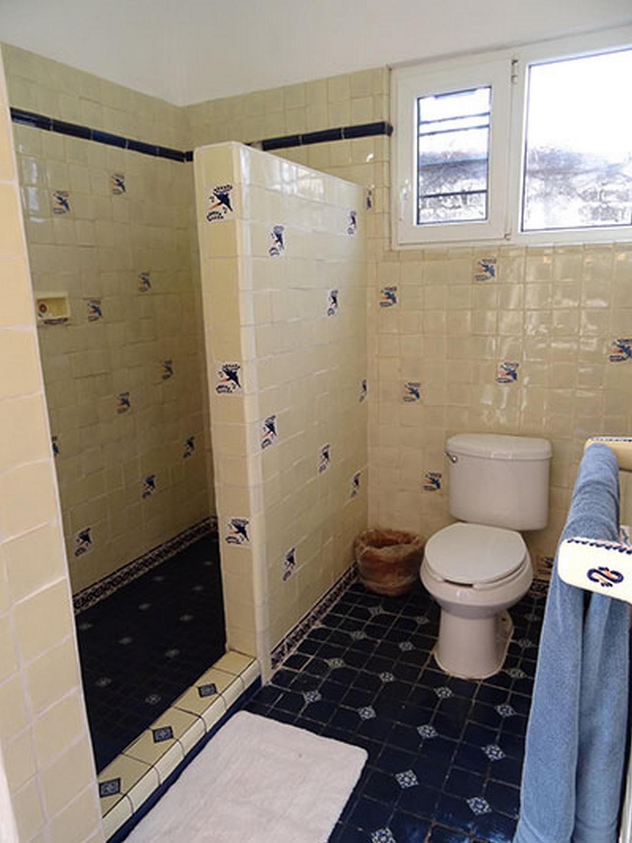 A bathroom with a toilet, a shower, and a window.