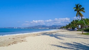 Una spiaggia con cielo sereno, palme e mare calmo.