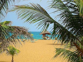 A beach scene with a thatched hut and palm trees.