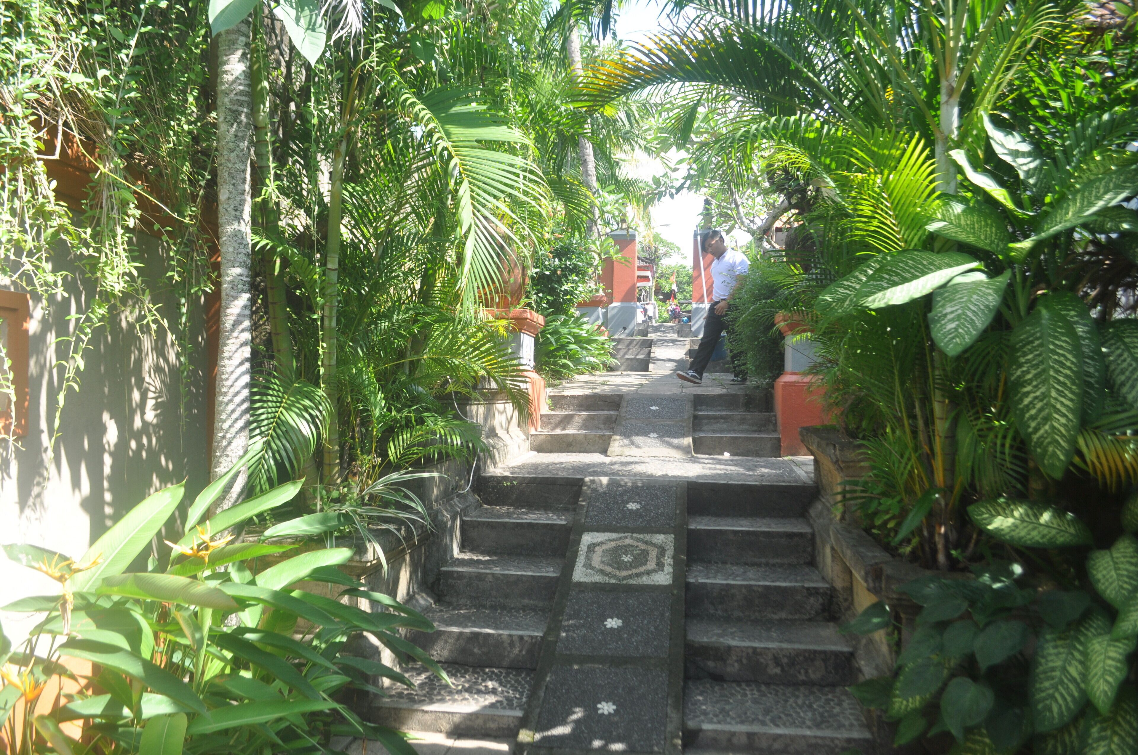 إطلالة الغرفة