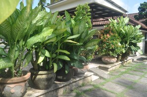 Standard Double or Twin Room | View from room