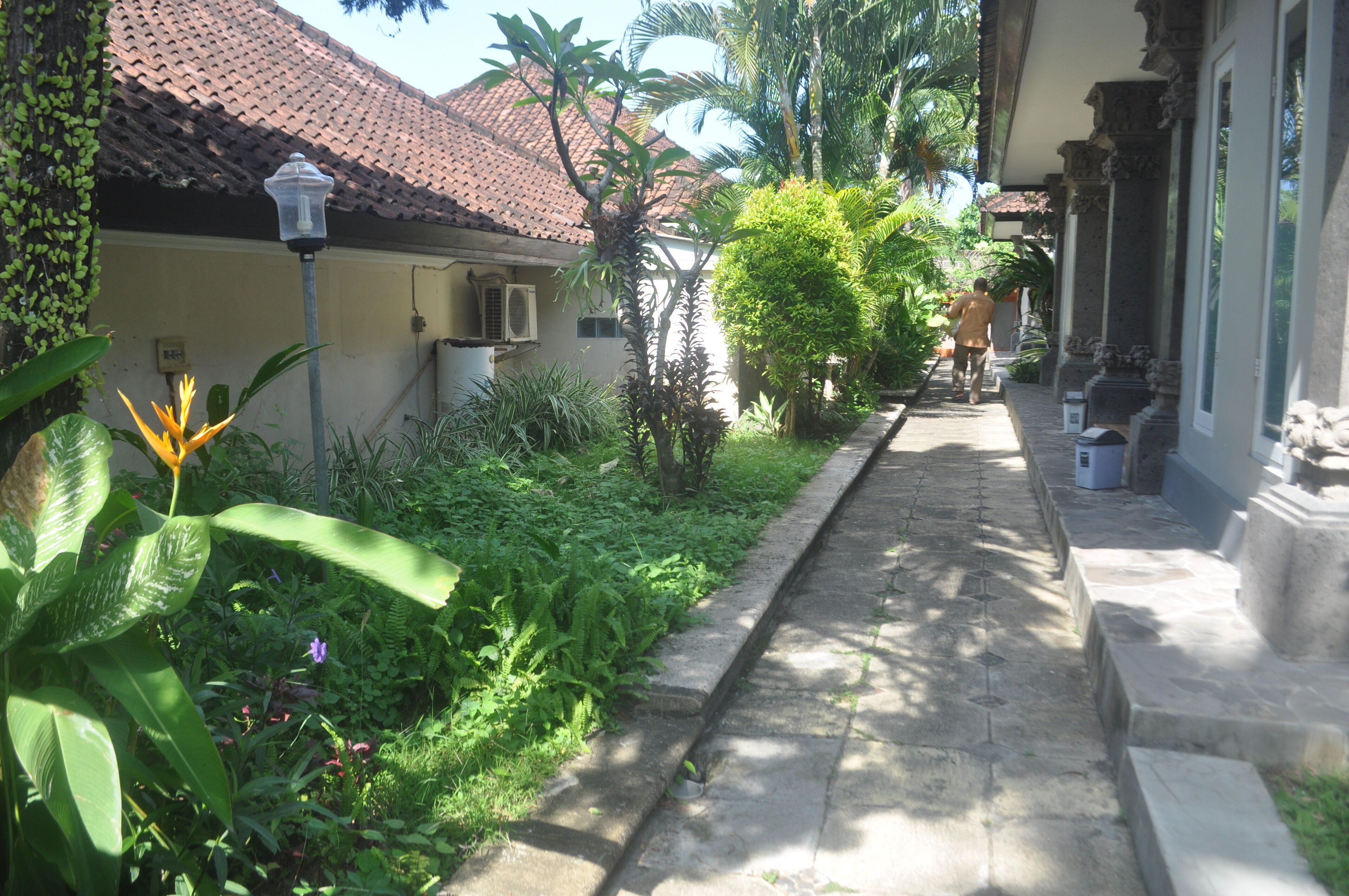 A narrow stone pathway flanked by lush greenery and traditional architecture with a tiled roof.