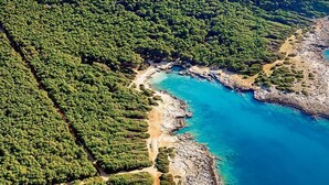 Vista aérea de una zona costera con densa vegetación verde y un mar azul cristalino.