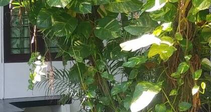 D&J Stamford Hotel - Hostel