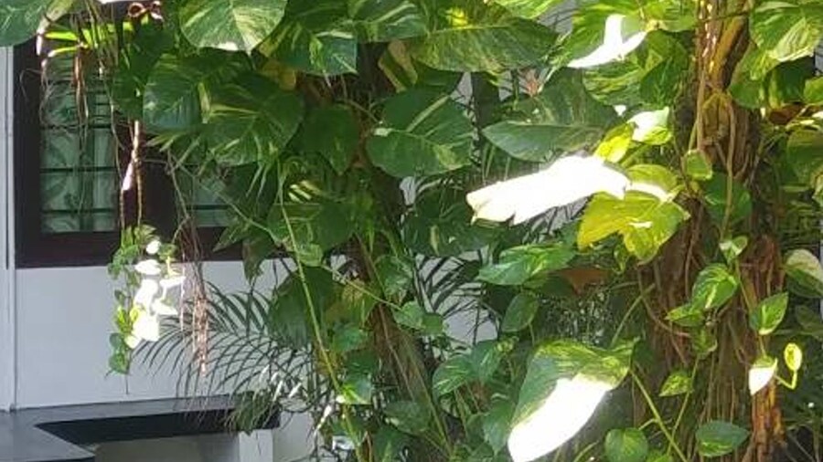 D&J Stamford Hotel - Hostel