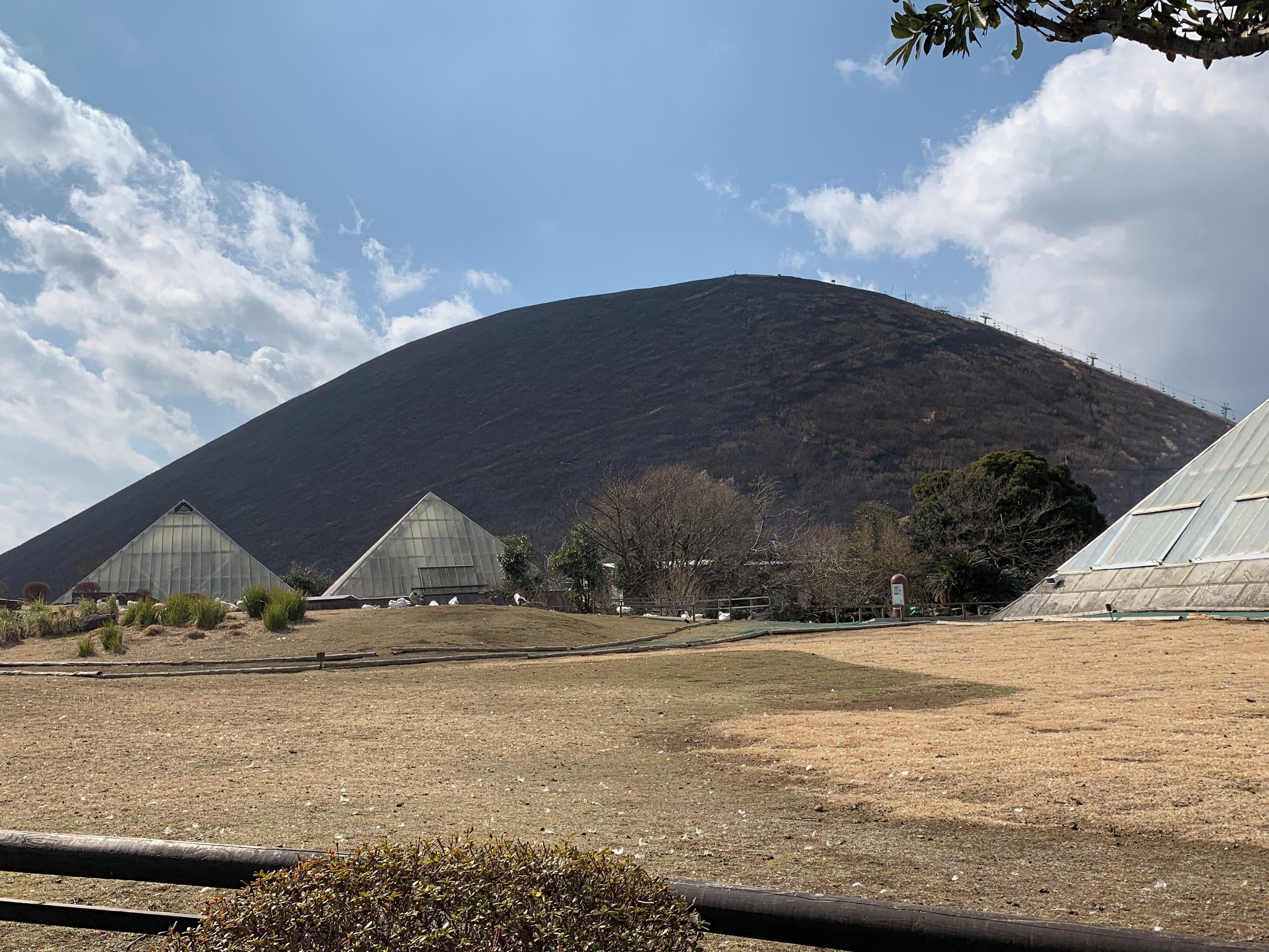 A greenhouse facility with multiple large, triangular structures.