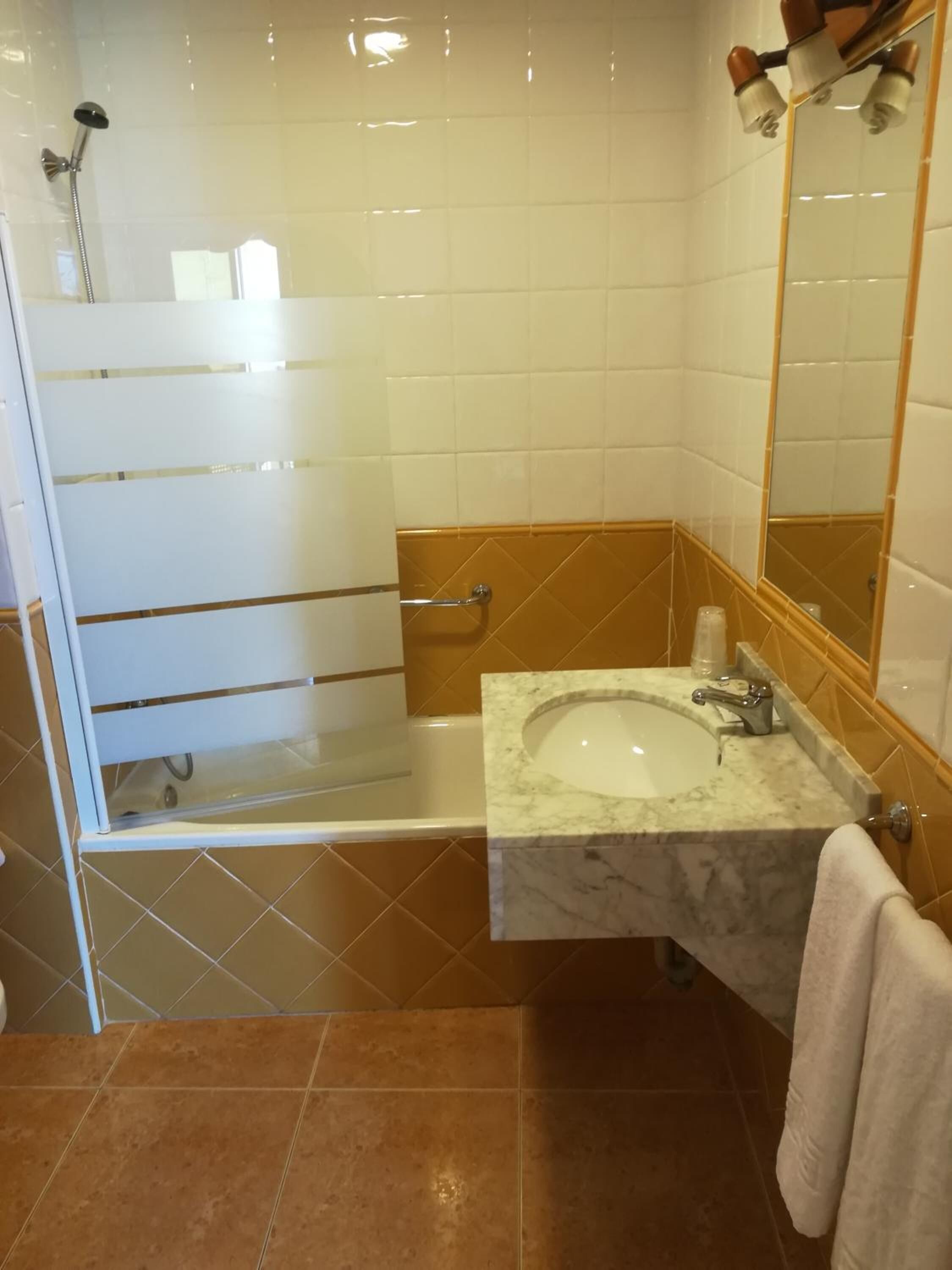 shower, free toiletries, bidet, towels