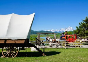 Un carruaje cubierto con una vista panorámica de montañas y un autobús de caballos rojo al fondo.