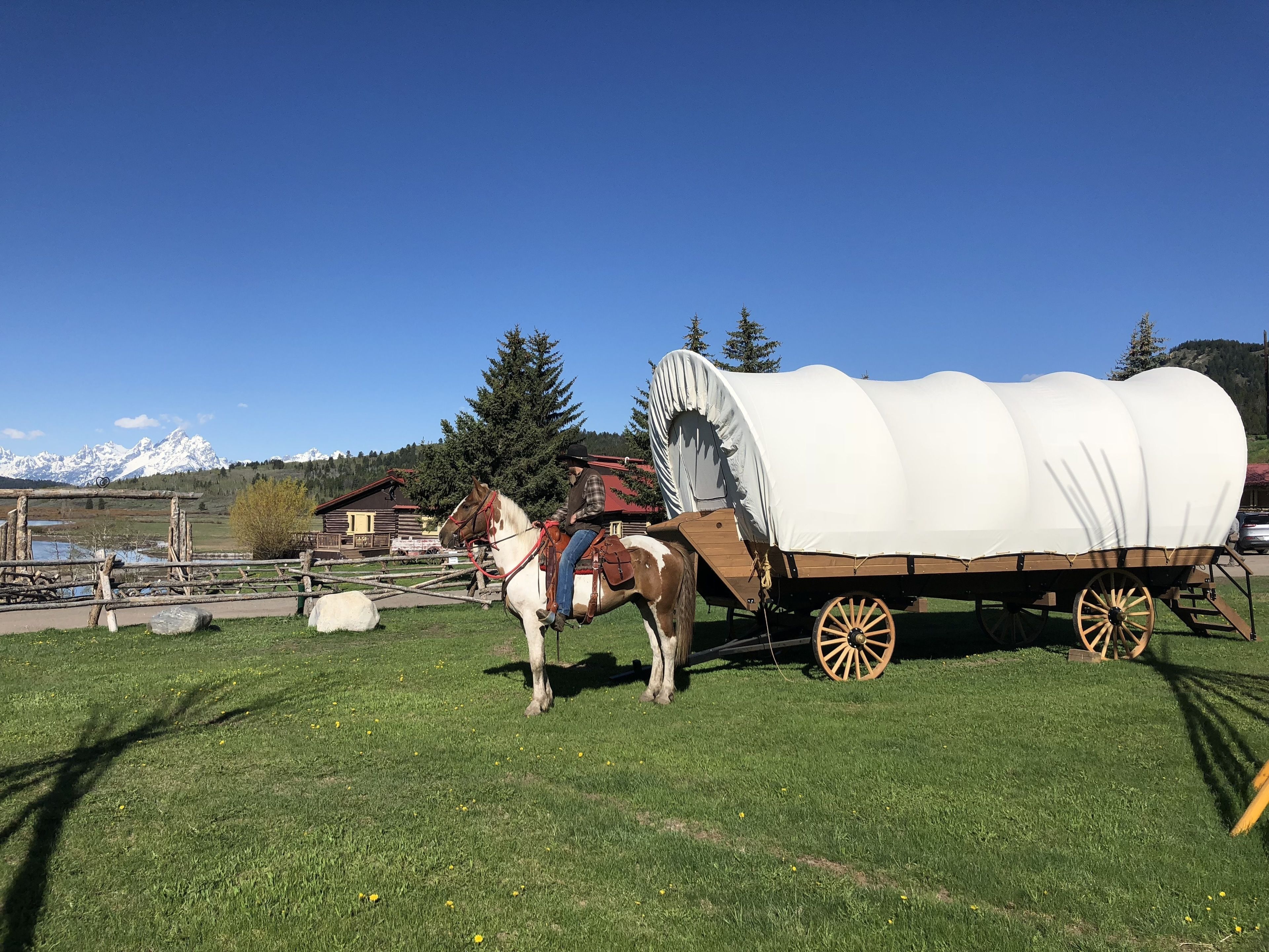 Un carro cubierto con un caballo en un campo de hierba, una cerca de madera y montañas al fondo.