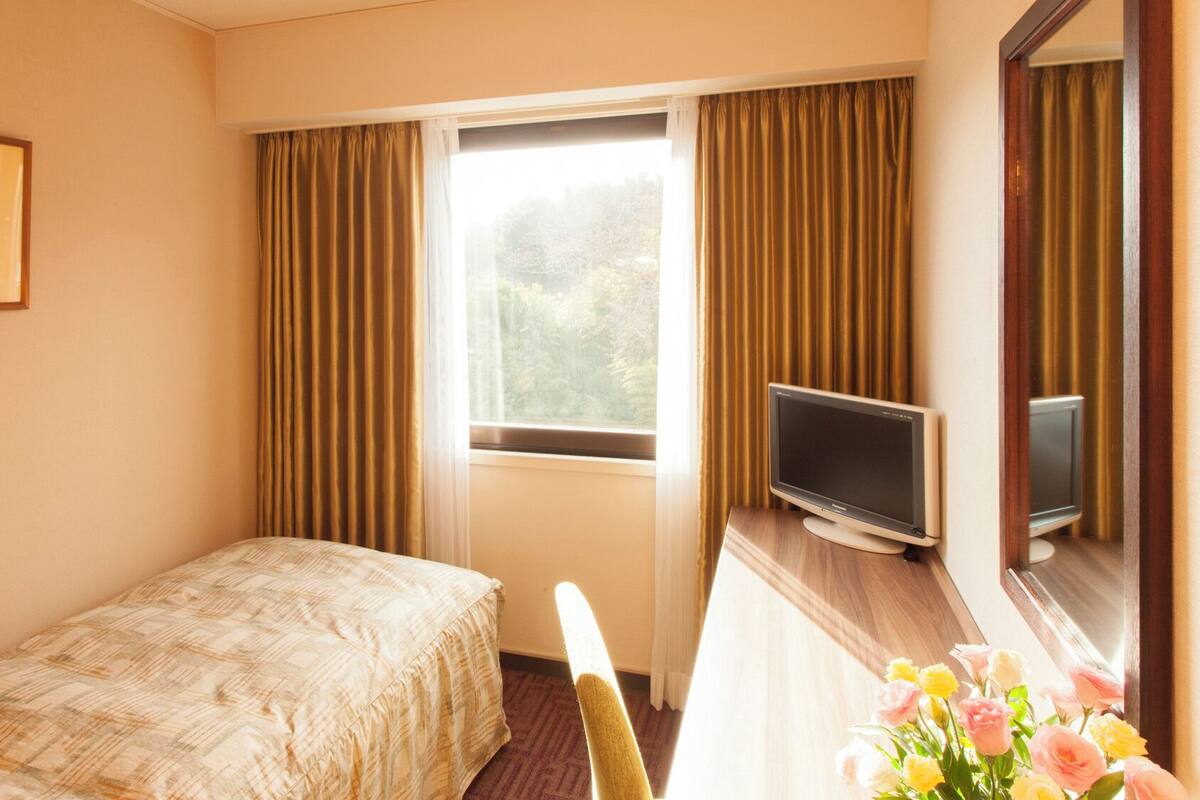 Una habitación de hotel con cama, televisor, escritorio y ventana con cortinas.