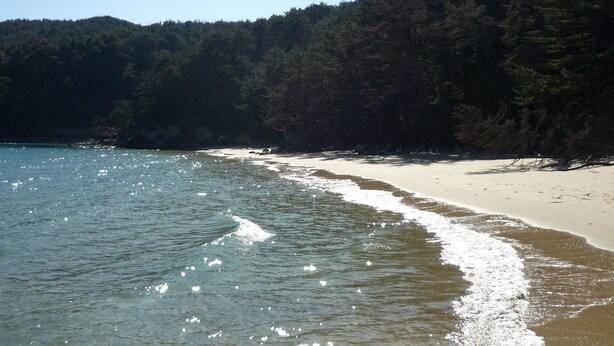 A beach with clear water, sandy shore, and a forested hill in the background. - Hotel Pearl City Kesennuma (Kesennuma)