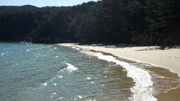 Vista desde la propiedad