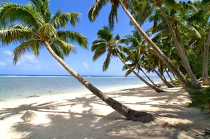 A beach with palm trees and clear blue water. - Sunhaven Beach Bungalows (Rarotonga)