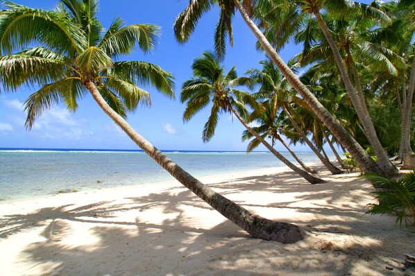 On the beach, white sand, sun loungers, beach towels - Sunhaven Beach Bungalows (Rarotonga)