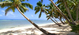 Sunhaven Beach Bungalows