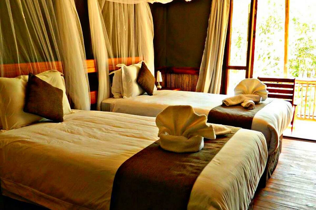A hotel room with two beds, each with a canopy and pillows.