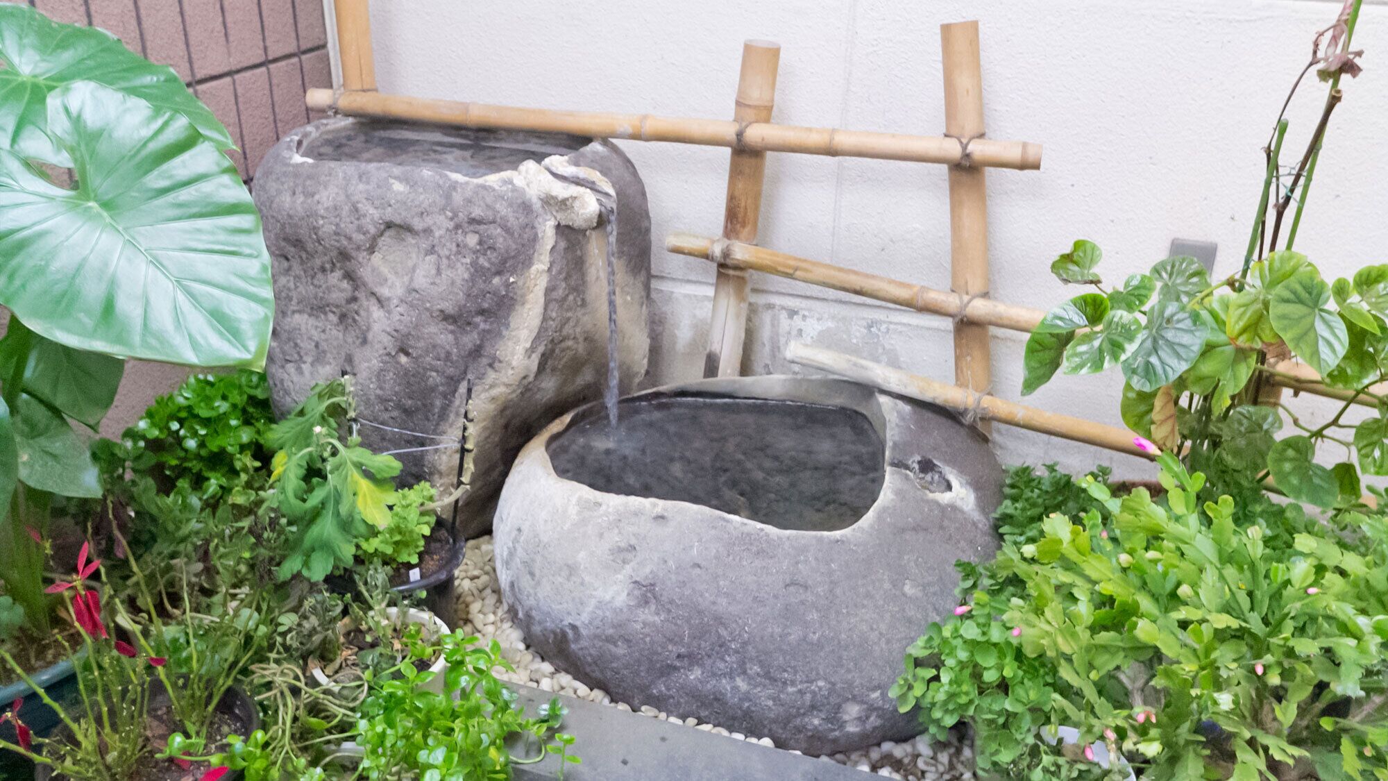 숙박 시설 구내