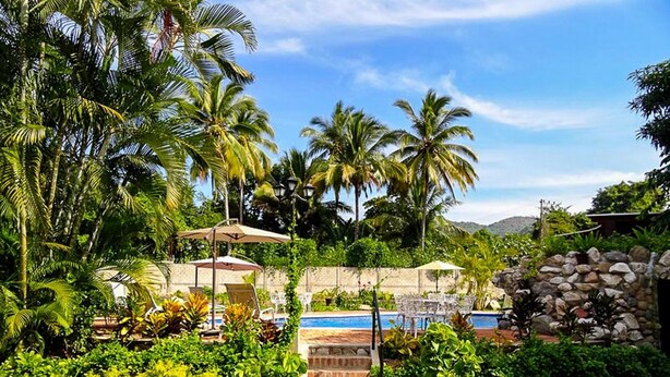 A tropical garden with a swimming pool, stone wall, and outdoor seating area.