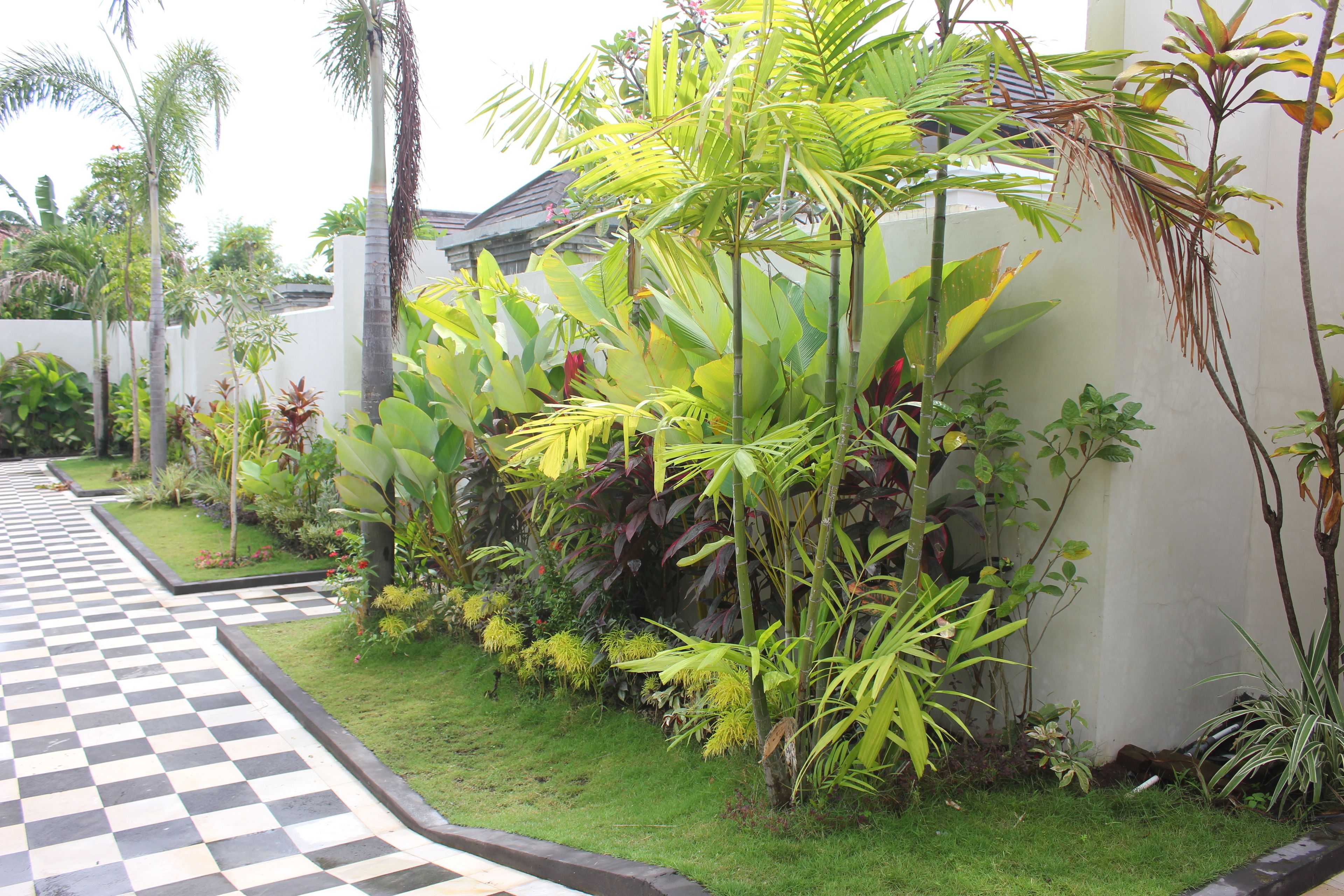 A garden with a checkered pathway, various tropical plants, and a white wall.