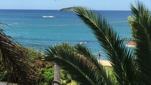 Beach/ocean view