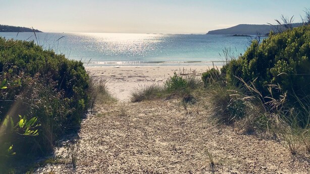 Un sendero bordeando la playa que lleva al mar, con cielo despejado.