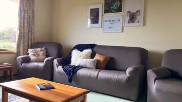 Smart-tv, dvd-spelare, ett filmbibliotek och en stereo