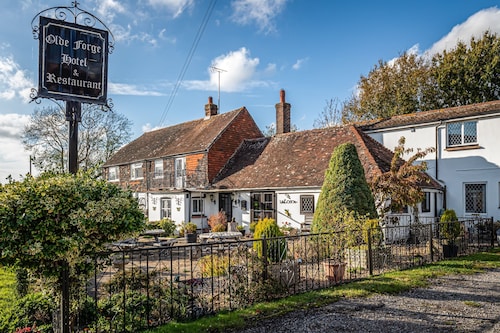 The Olde Forge Hotel
