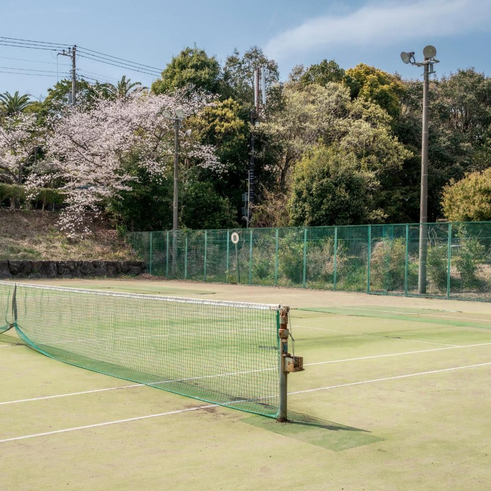 A tennis court with a net, surrounded by a green fence and trees.