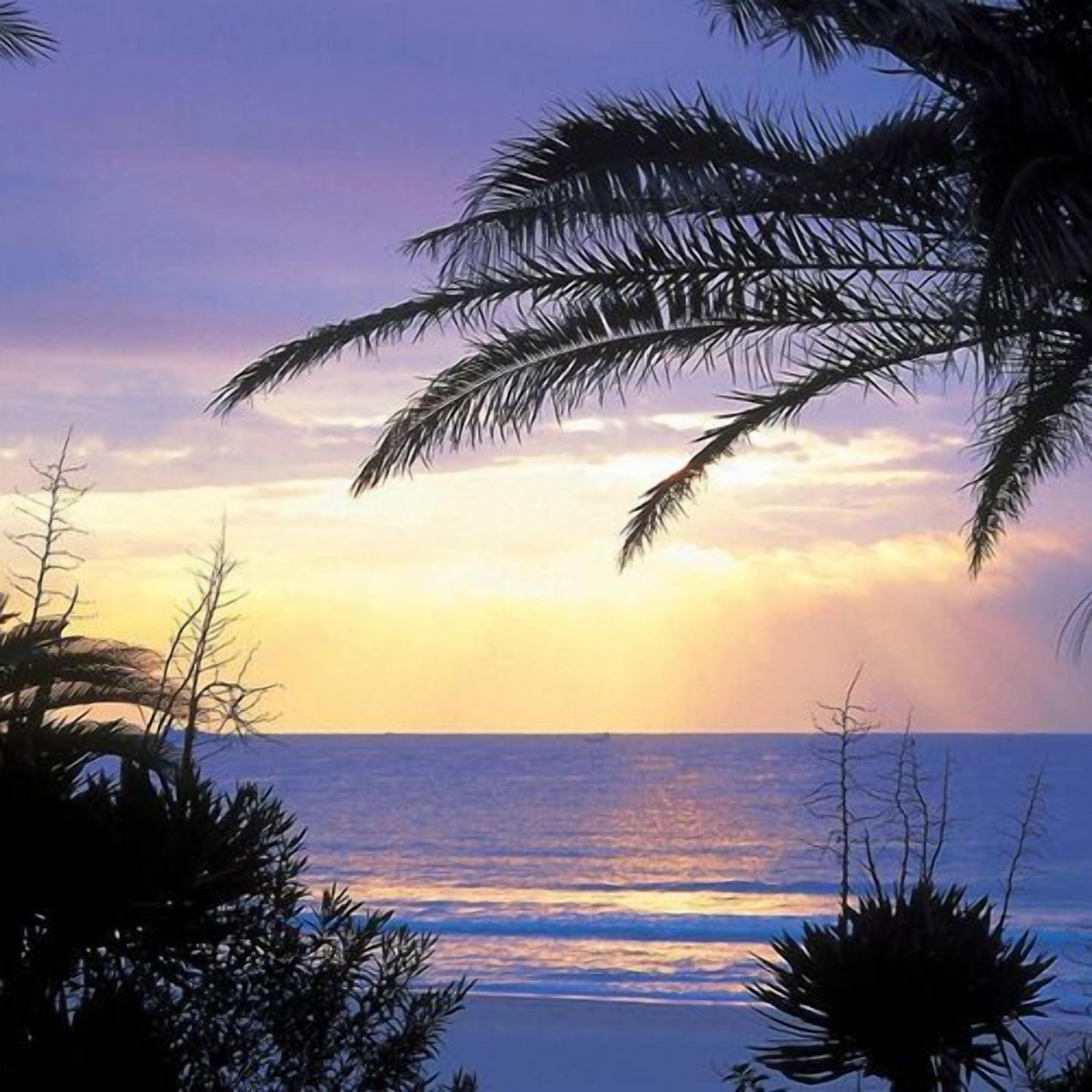 Playa