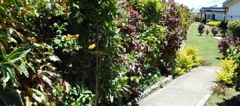 Nadi Airport Apartments