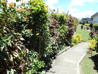 Nadi Airport Apartments