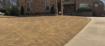 Cozy Cave Springs Suite med egen indgang