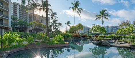 Piscine extérieure, piscine chauffée