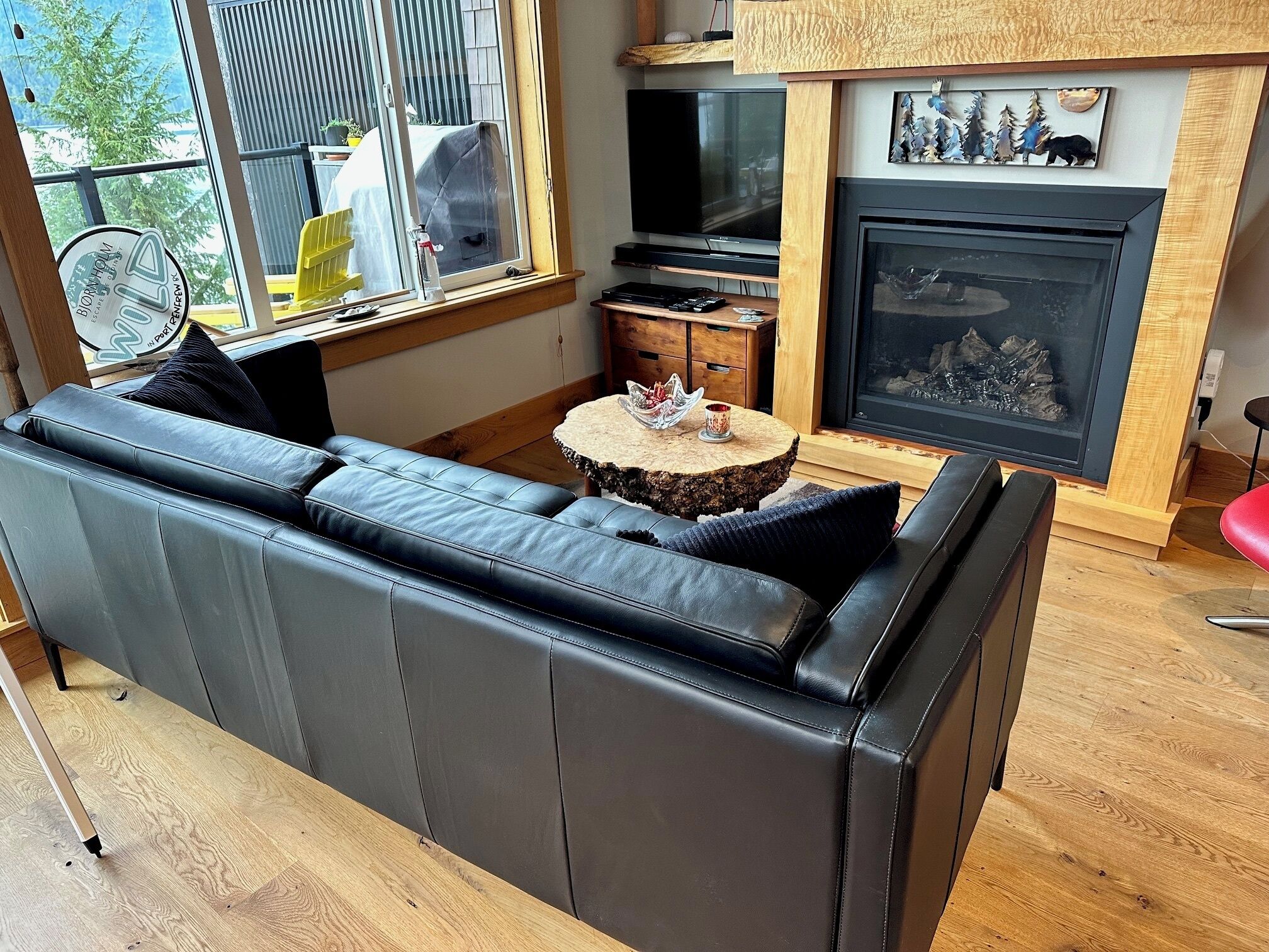 Smart TV, fireplace, Netflix, DVD player