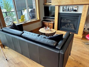 TV connectée, cheminée, Netflix, lecteur de DVD