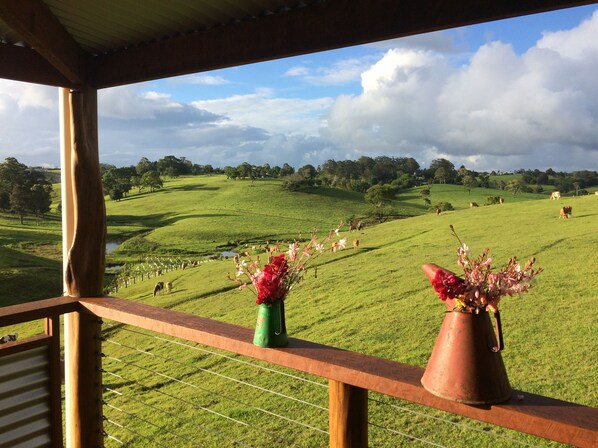 Un balcón con vista a un campo verde y vacas, y dos macetas en la barandilla.