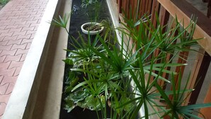 A narrow water feature with potted plants, wooden railings, and a brick pathway. - Weligama Ocean Breeze (Weligama)