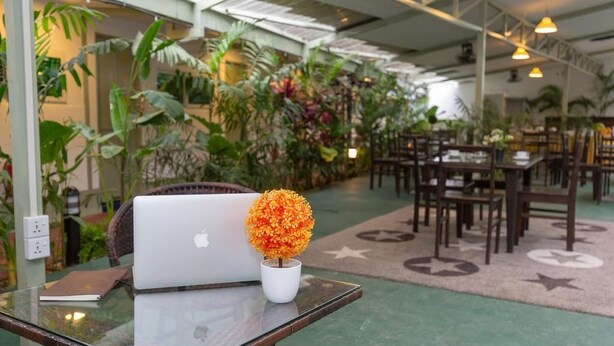 A modern indoor space with a glass table, a laptop, and a potted plant. - Sky View Bed & Breakfast (Yangon)